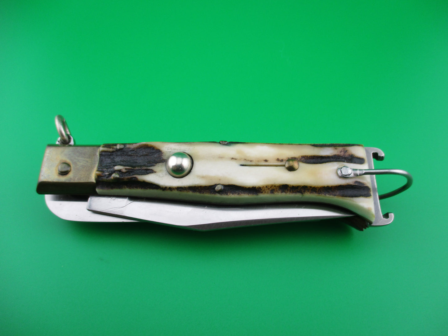 Jaguar INOX 28cm Italian 4 blade Shell puller STAG Ring pull switchblade camper knife